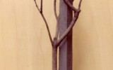 Djerassi ‘87-’91 Mauro Staccioli, Djerassi Woodside, 1987-91, foto 23